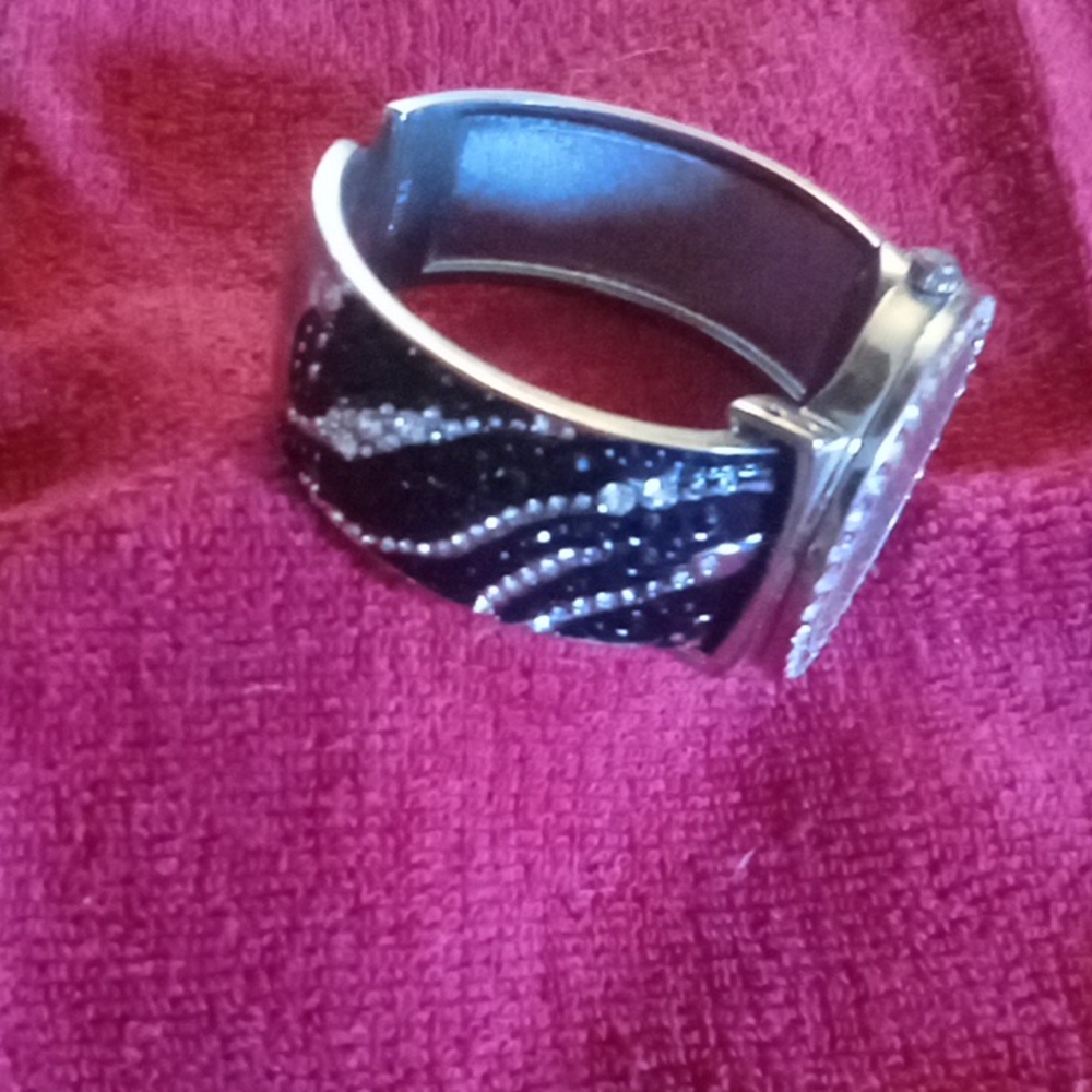 Sofia Vergara Watch - Picture 4 of 6